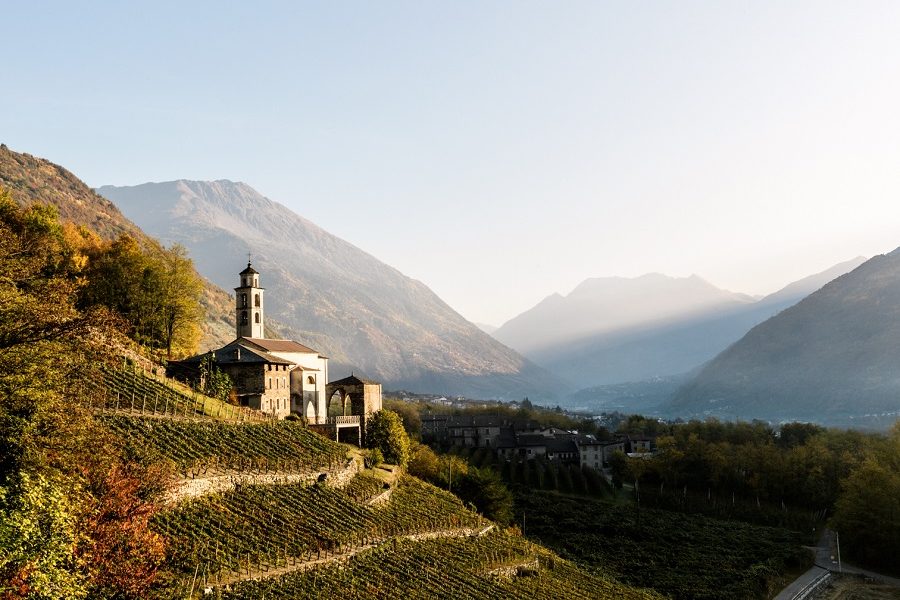 I muretti a secco della Valtellina