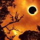 Eclissi totale di Sole in diretta: come seguirla dall’Italia su RaiNews24