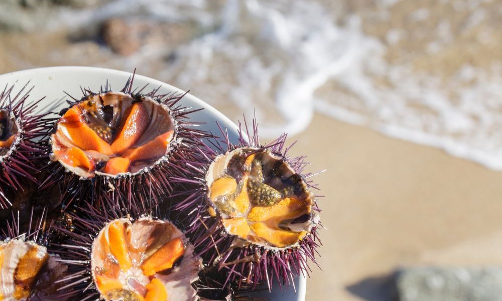 Ricci di mare: una ricetta che fa “bene al cuore”