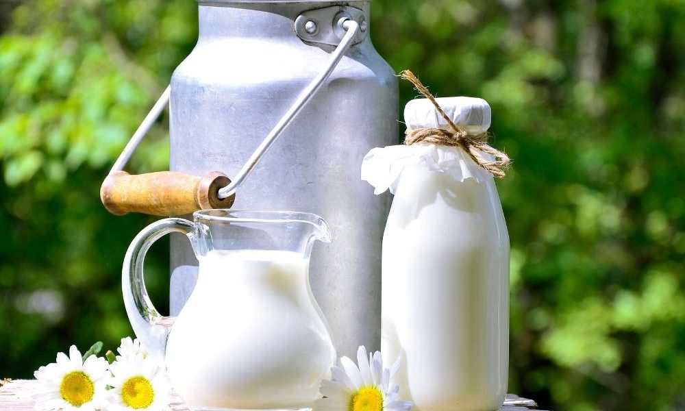 Latte: i benefici per la salute