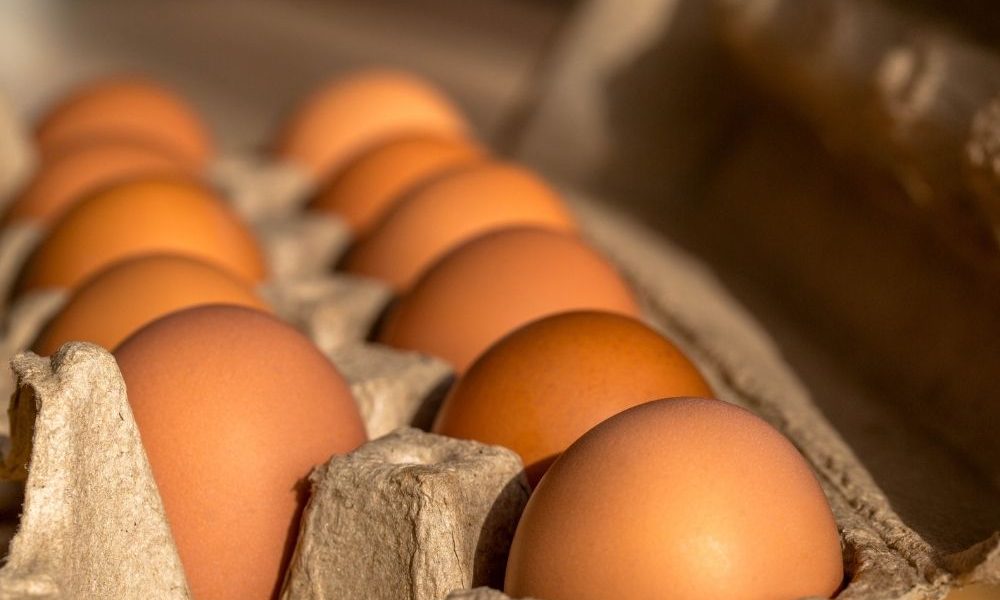 Allergia all’uovo nei bambini: una reazione comune con sfumature complesse