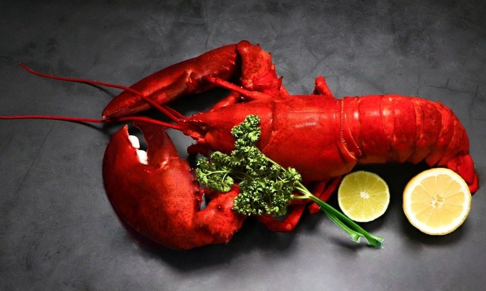 Aragosta del Mediterraneo: Omega 3 e Vitamina B12, benefici e rischi