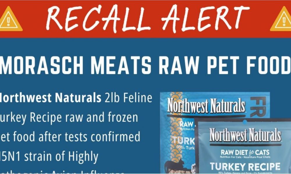 Oregon: cat dies after consuming raw food contaminated with H5N1 avian flu