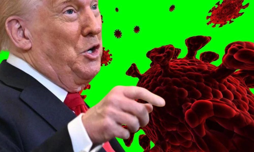 Covid: Trump revives Chinese lab theory: new section on White House website