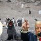 L’ignoranza di Trump tassa anche i pinguini