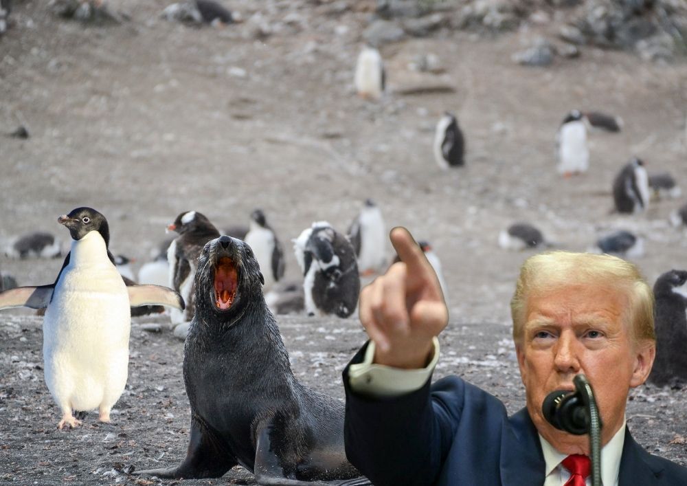 Trump’s ignorance taxes even penguins