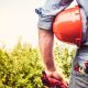 Giacche da lavoro tecniche: la guida completa per professionisti