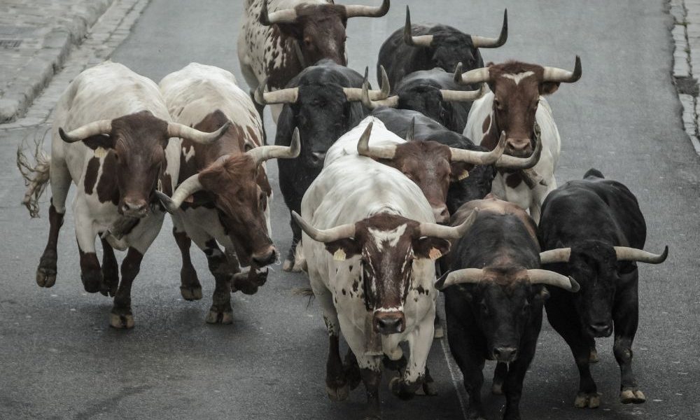 Pamplona, injured by a bull during the San Fermin festival 2025
