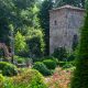 VERDE GRAZZANO 2025