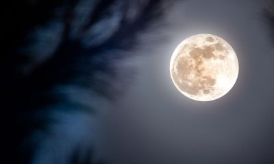 Superluna del Castoro 2025, lo spettacolo più luminoso degli ultimi anni