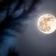 Superluna del Castoro 2025, lo spettacolo più luminoso degli ultimi anni