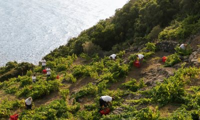 La Cité du Vin celebra 10 anni, tra i protagonisti il Ben Ryé di Donnafugata