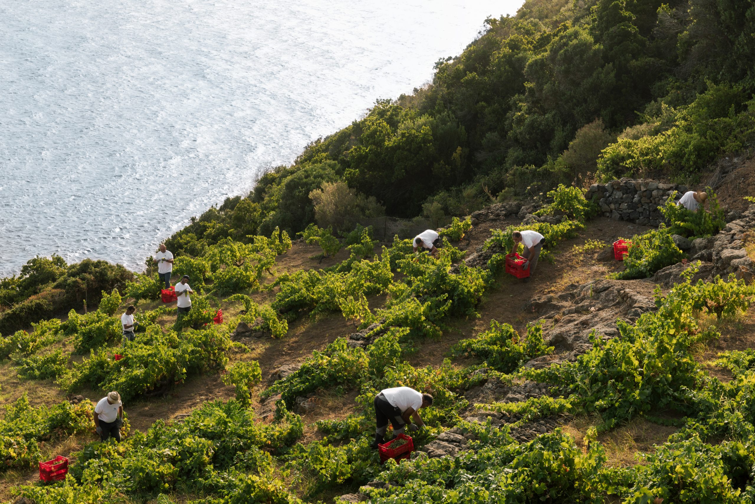 La Cité du Vin celebra 10 anni, tra i protagonisti il Ben Ryé di Donnafugata