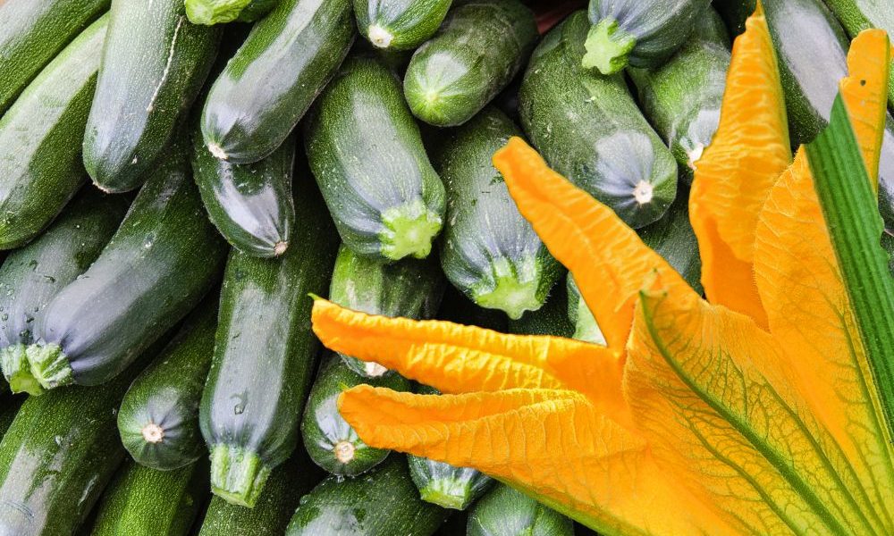 Zucchine salute cardiovascolare: benefici dopo i 50 anni