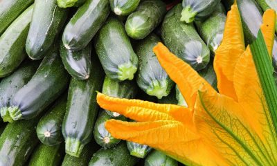 Zucchine salute cardiovascolare: benefici dopo i 50 anni