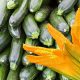 Zucchine salute cardiovascolare: benefici dopo i 50 anni