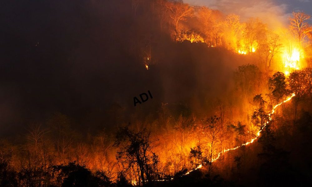 Incendi in Francia e Spagna, oltre 325mila evacuati: emergenza senza precedenti