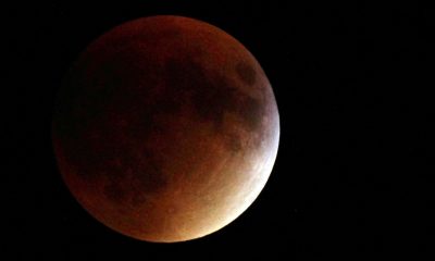 Eclissi di Luna, venerdì 28 agosto lo spettacolo dall’Italia