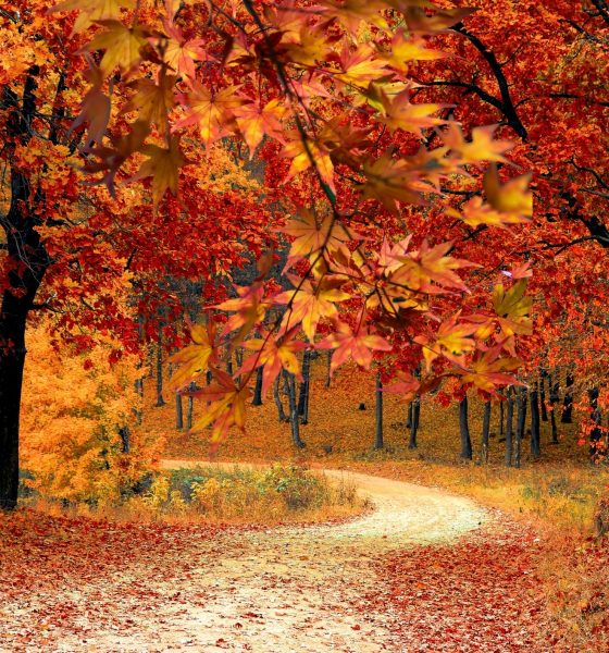 Equinozio d’Autunno, arriva il primo calo delle temperature in Italia