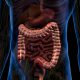 Crohn, nuova terapia rimborsabile: Aifa dà il via libera a mirikizumab
